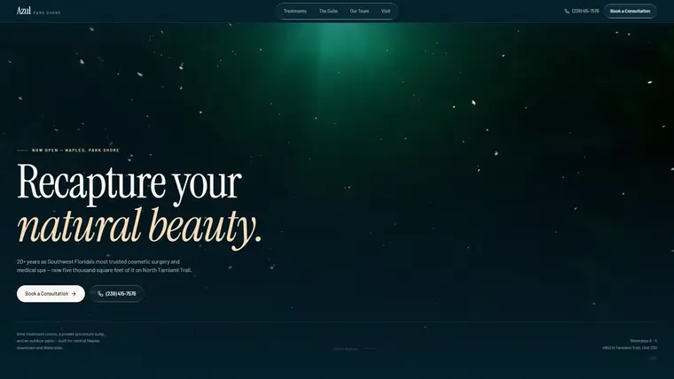 Home page of the Azul Cosmetic Surgery & Medical Spa build