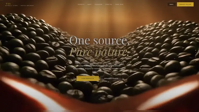 Home page of the Terra Source Global build